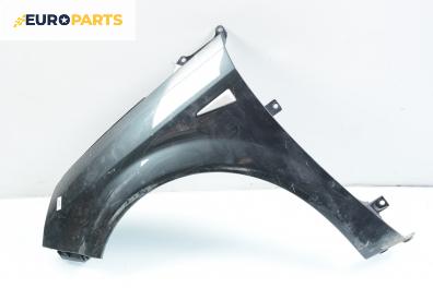 Калник за Renault Scenic II Minivan (06.2003 - 07.2010), позиция: лява