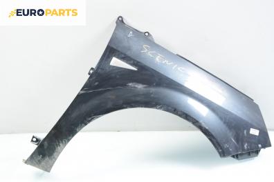 Калник за Renault Scenic II Minivan (06.2003 - 07.2010), позиция: дясна