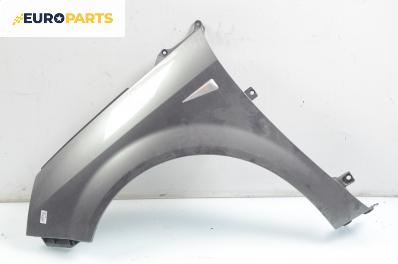 Калник за Renault Scenic II Minivan (06.2003 - 07.2010), позиция: лява