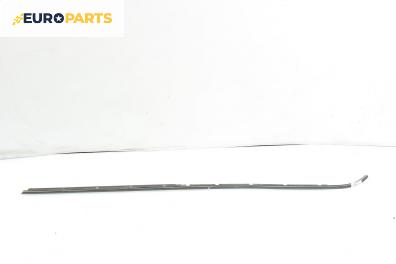 Външни лайсни за Mini Hatchback (R50, R53) (06.2001 - 09.2006), хечбек, позиция: лява