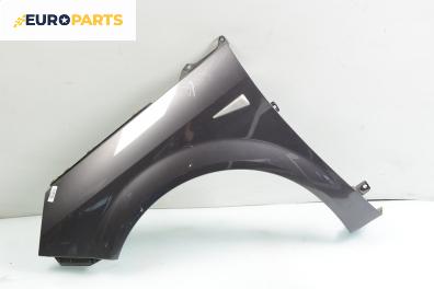 Калник за Renault Scenic II Minivan (06.2003 - 07.2010), позиция: лява