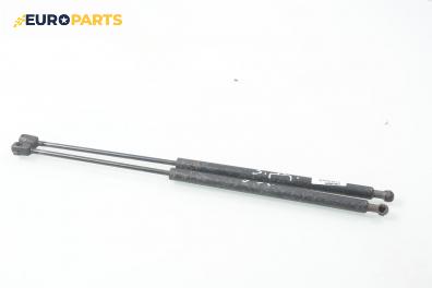 Амортисьор за багажник/товарно пространство за Hyundai Santa Fe I SUV (11.2000 - 03.2006)