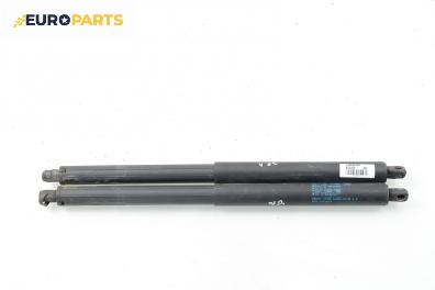 Амортисьор за багажник/товарно пространство за BMW X5 Series E70 (02.2006 - 06.2013)