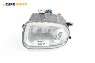 Халоген за Nissan Almera II Hatchback (01.2000 - 12.2006), хечбек, позиция: дясна