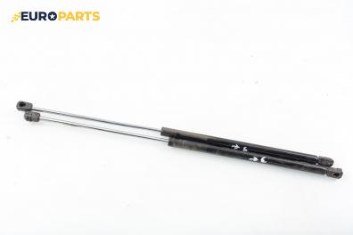 Амортисьор за багажник/товарно пространство за Renault Megane Scenic (10.1996 - 12.2001)