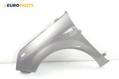 Калник за Renault Scenic II Minivan (06.2003 - 07.2010), позиция: лява