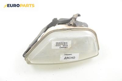 Халоген за Ford Focus I Hatchback (10.1998 - 12.2007), хечбек, позиция: дясна