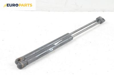 Амортисьор за багажник/товарно пространство за Mini Hatchback (R50, R53) (06.2001 - 09.2006)