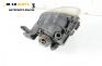 Халоген за Audi A4 Avant B7 (11.2004 - 06.2008), комби, позиция: дясна