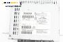 CD плеър за Volvo XC90 I SUV (06.2002 - 01.2015), № 30679465-1