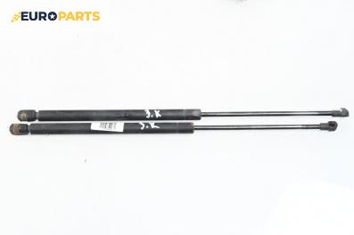 Амортисьор за багажник/товарно пространство за Audi A3 Hatchback I (09.1996 - 05.2003)