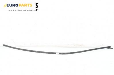 Лайсна таван за Mercedes-Benz C-Class Coupe (CL203) (03.2001 - 06.2007), купе, позиция: лява