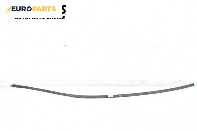 Лайсна таван за Mercedes-Benz C-Class Coupe (CL203) (03.2001 - 06.2007), купе, позиция: дясна