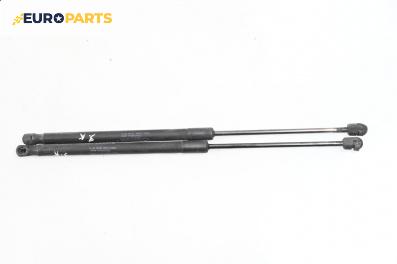 Амортисьор за багажник/товарно пространство за Mercedes-Benz A-Class Hatchback W169 (09.2004 - 06.2012)