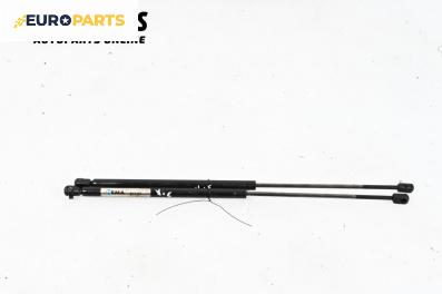 Амортисьор за багажник/товарно пространство за Renault Megane Scenic (10.1996 - 12.2001)