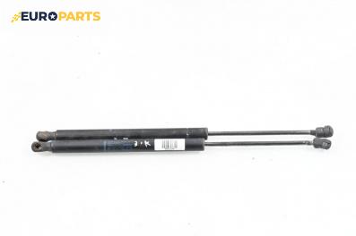 Амортисьор за багажник/товарно пространство за Audi A6 Allroad  C5 (05.2000 - 08.2005)