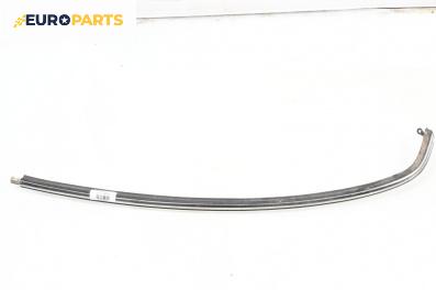 Външни лайсни за Mini Hatchback I (R50, R53) (06.2001 - 09.2006), хечбек, позиция: предна