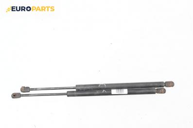 Амортисьор за багажник/товарно пространство за Ford Focus I Hatchback (10.1998 - 12.2007)