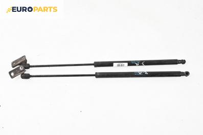 Амортисьор за багажник/товарно пространство за Hyundai Santa Fe I SUV (11.2000 - 03.2006)