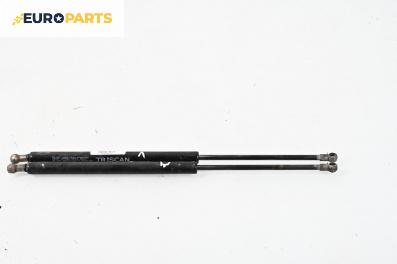 Амортисьор за багажник/товарно пространство за Ford Focus I Hatchback (10.1998 - 12.2007)