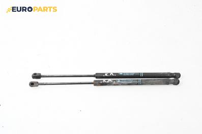 Амортисьор за багажник/товарно пространство за Citroen C3 Hatchback I (02.2002 - 11.2009)