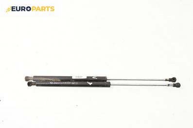 Амортисьор за багажник/товарно пространство за Renault Laguna II Hatchback (03.2001 - 12.2007)