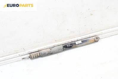 Амортисьор за Renault Clio III Hatchback (01.2005 - 12.2012), хечбек, позиция: задна, лява