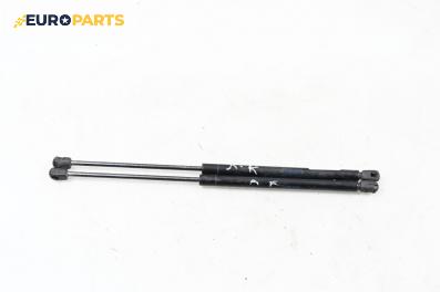 Амортисьор за багажник/товарно пространство за Mini Hatchback I (R50, R53) (06.2001 - 09.2006)
