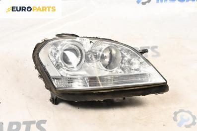 Фар за Mercedes-Benz M-Class SUV (W164) (07.2005 - 12.2012), джип, позиция: дясна