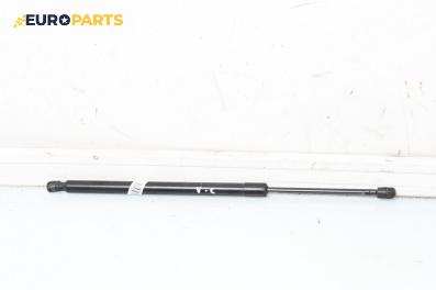 Амортисьор за багажник/товарно пространство за Mercedes-Benz M-Class SUV (W164) (07.2005 - 12.2012)