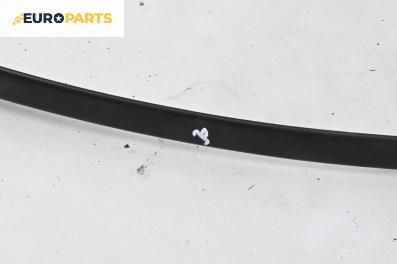 Външни лайсни за Mercedes-Benz B-Class Hatchback I (03.2005 - 11.2011), хечбек, позиция: дясна