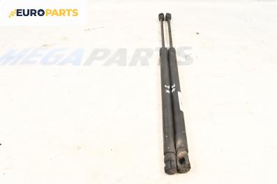 Амортисьор за багажник/товарно пространство за Renault Scenic II Minivan (06.2003 - 07.2010)