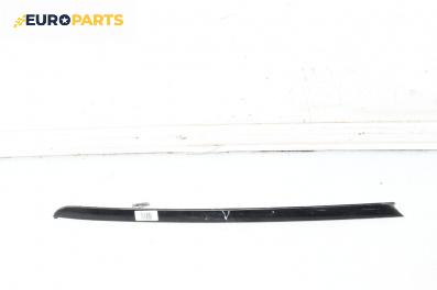 Външна лайсна врата за BMW X3 Series E83 (01.2004 - 12.2011), джип, позиция: лява