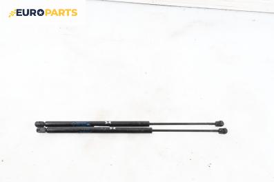Амортисьор за багажник/товарно пространство за Renault Megane Scenic (10.1996 - 12.2001)