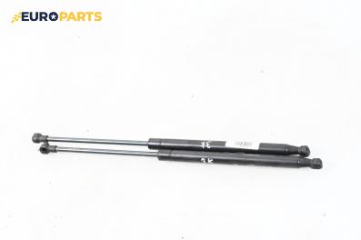 Амортисьор за багажник/товарно пространство за Renault Scenic I Minivan (09.1999 - 07.2010)