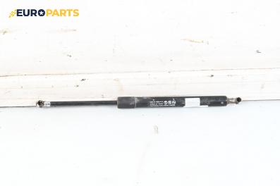 Амортисьор за багажник/товарно пространство за Renault Scenic I Minivan (09.1999 - 07.2010)
