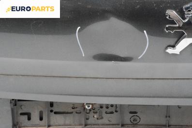 Заден капак за Peugeot 207 Station Wagon (02.2007 - 12.2013), 4+1 вр., комби, позиция: задна