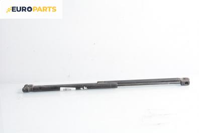 Амортисьор за багажник/товарно пространство за Renault Scenic II Minivan (06.2003 - 07.2010)