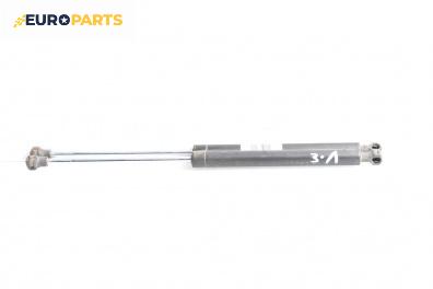 Амортисьор за багажник/товарно пространство за Renault Clio II Hatchback (09.1998 - 09.2005)