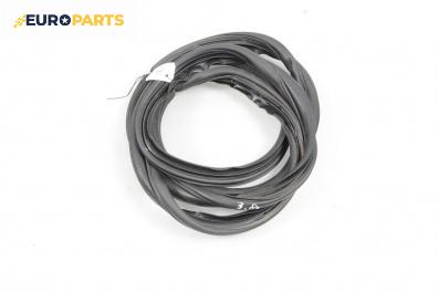 Уплътнение за врата за Renault Scenic II Minivan (06.2003 - 07.2010), 4+1 вр., миниван, позиция: задна, дясна