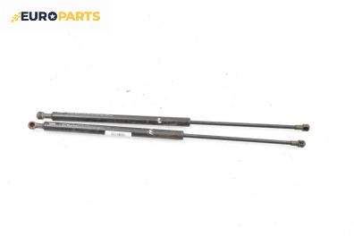 Амортисьор за багажник/товарно пространство за Renault Laguna II Hatchback (03.2001 - 12.2007)