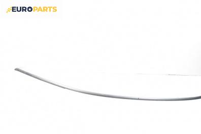 Лайсна таван за BMW 7 Series E65 (11.2001 - 12.2009), седан, позиция: лява