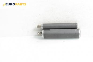 Пружина заден капак за Mercedes-Benz C-Class Estate (S204) (08.2007 - 08.2014)