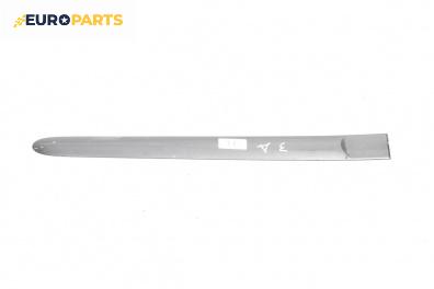 Външни лайсни за Seat Ibiza III Hatchback (02.2002 - 11.2009), хечбек, позиция: дясна