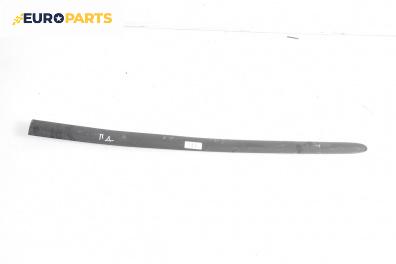 Външни лайсни за Seat Ibiza III Hatchback (02.2002 - 11.2009), хечбек, позиция: дясна