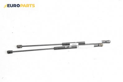 Амортисьор за багажник/товарно пространство за Peugeot 206 Hatchback (08.1998 - 12.2012)