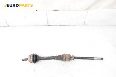 Макферсон за Citroen Xsara Picasso (09.1999 - 06.2012), миниван, позиция: предна, дясна