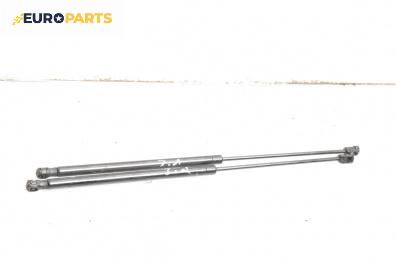 Амортисьор за багажник/товарно пространство за Renault Scenic I Minivan (09.1999 - 07.2010)