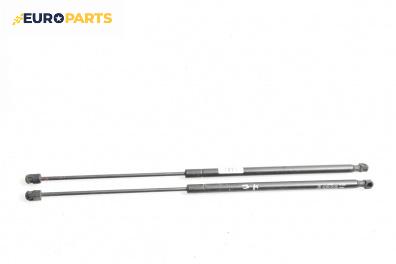 Амортисьор за багажник/товарно пространство за Renault Megane III Coupe (11.2008 - 12.2015)