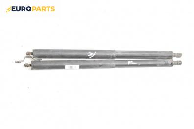 Амортисьор за багажник/товарно пространство за Mercedes-Benz M-Class SUV (W164) (07.2005 - 12.2012)